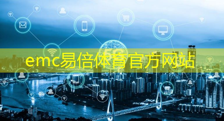 emc易倍体育官方入口：物流的发展对人工智能的看法