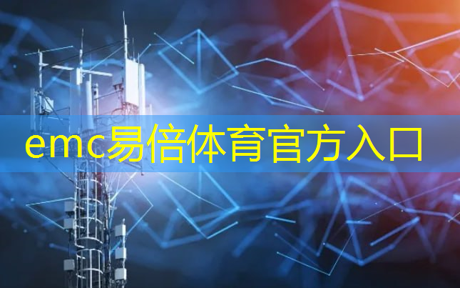 emc易倍体育官方入口：沈阳智慧城市开发项目
