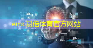 emc易倍体育官方入口：智慧城市实景建模